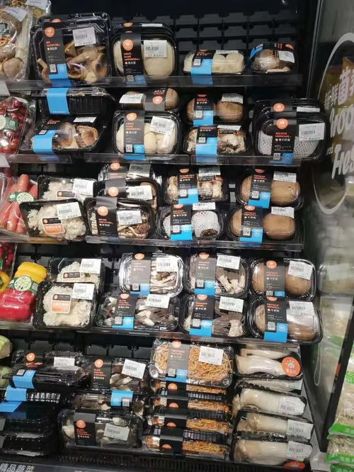 洞見市場趨勢，陳亮嘴深度調(diào)研奧吉特公司的戰(zhàn)略啟示